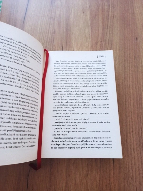 SARAH WATERS - Platící hosté