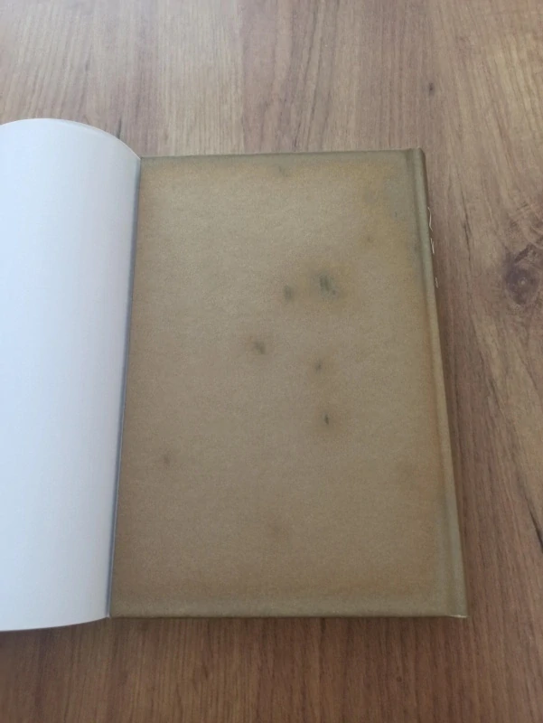 FRANCIS SPUFFORD - Zlatý vrch