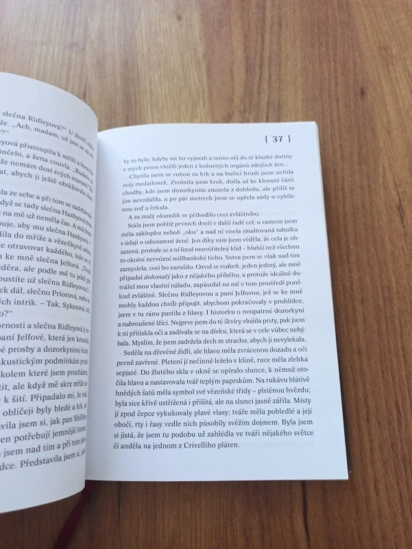 SARAH WATERS - Náklonnost