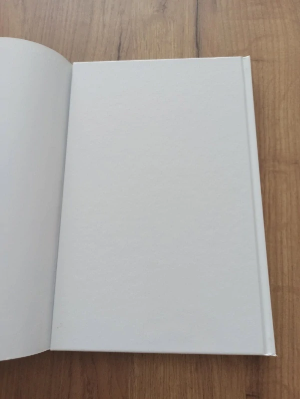 PETER DAVID, STEPHEN KING - Temná věž 1: Zrození pistolníka