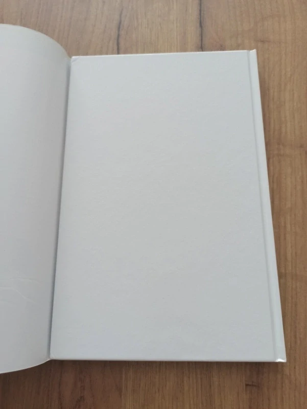 PETER DAVID, STEPHEN KING - Temná věž 2: Dlouhá cesta domů