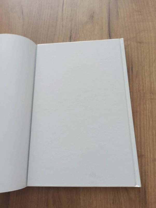PETER DAVID, STEPHEN KING - Temná věž 3: Zrada