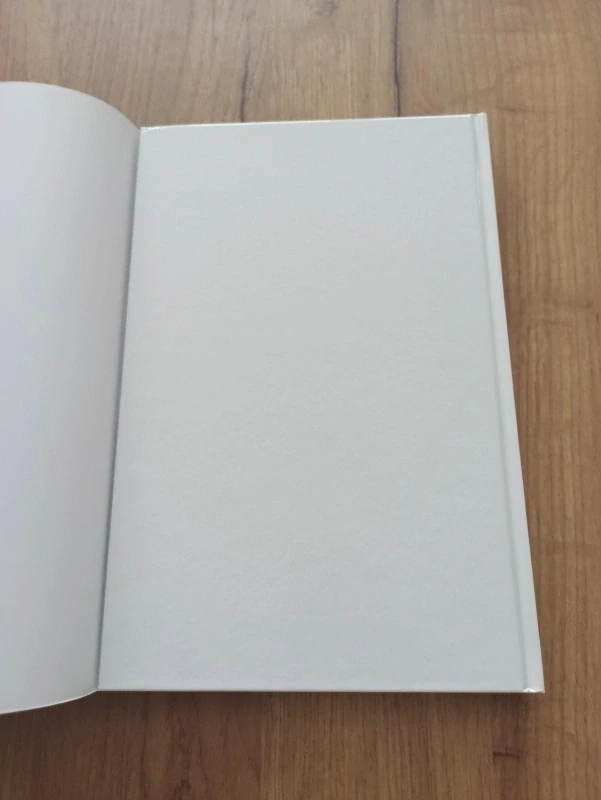 PETER DAVID, STEPHEN KING, ROBIN FURTH - Temná věž 4: Pád Gileadu