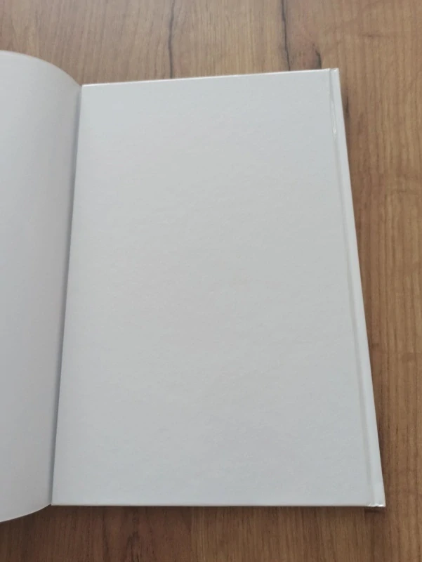 PETER DAVID, STEPHEN KING - Temná věž 6: Pistolník 1: Cesta začíná