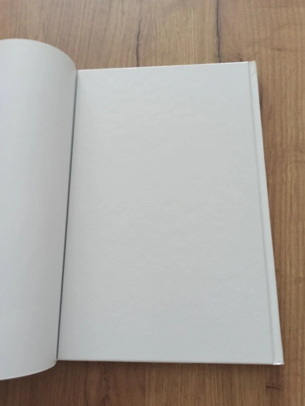 PETER DAVID, STEPHEN KING - Temná věž 7: Pistolník 2: Sestřičky z Elurie