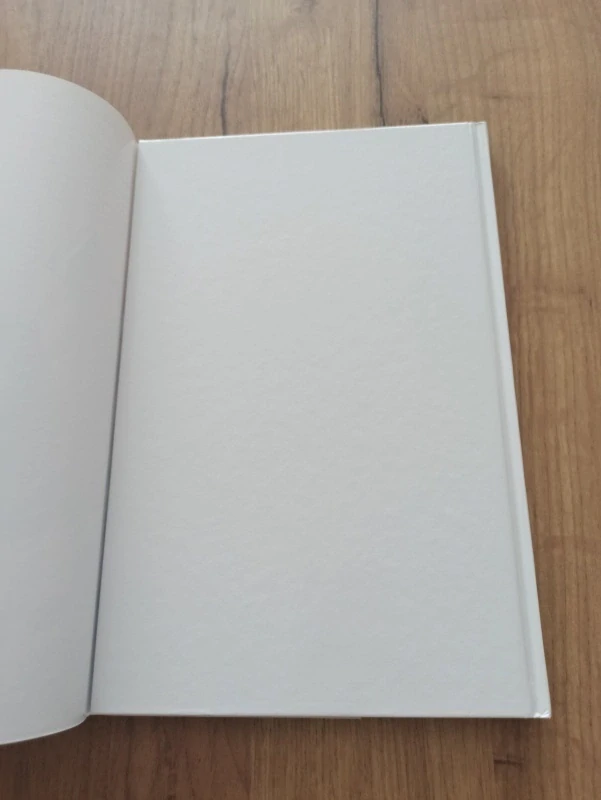 PETER DAVID, STEPHEN KING - Temná věž 8: Pistolník 3: Bitva v Tullu