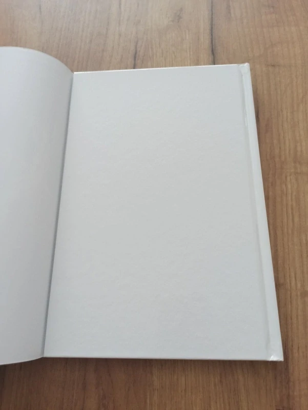 PETER DAVID, STEPHEN KING, ROBIN FURTH - Temná věž 11: Pistolník 6: Poslední výstřely