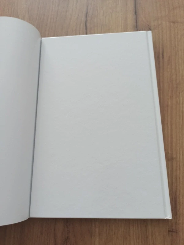 PETER DAVID, STEPHEN KING - Temná věž 9: Pistolník 4: Dostavníková stanice