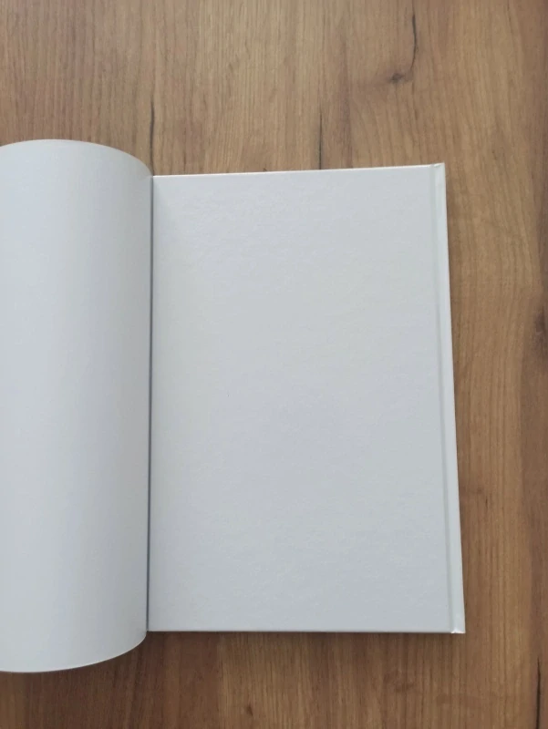 PETER DAVID, STEPHEN KING - Temná věž 10: Pistolník 5: Muž v černém