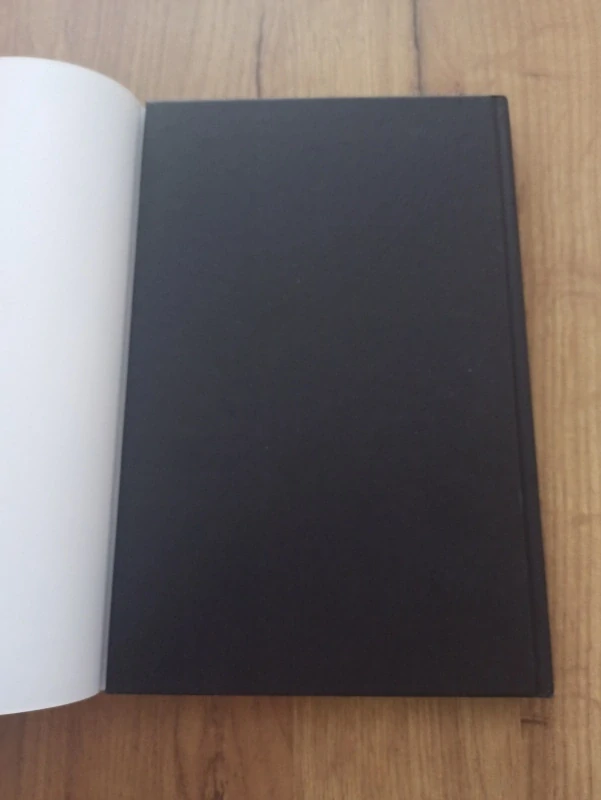 SCOTT SNYDER, STEPHEN KING - Americký upír 1.