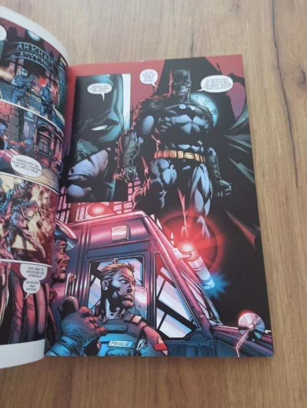 PAUL JENKINS, DAVID FINCH, JUDD WINICK, JOE HARRIS - Batman: Temný rytíř 1. - Temné děsy