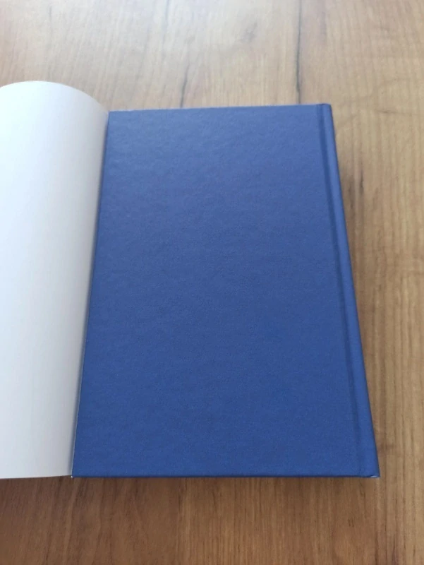 HANS ROSENFELDT - Léto vlků