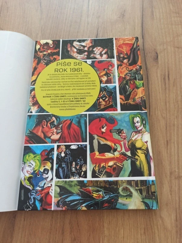 HOWARD CHAYKIN - Batman: V žáru smrti