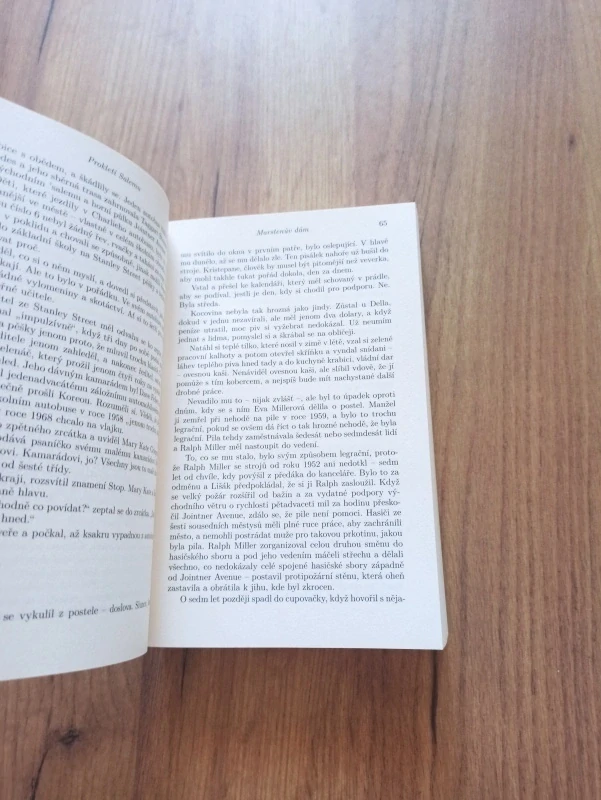 STEPHEN KING - Prokletí Salemu