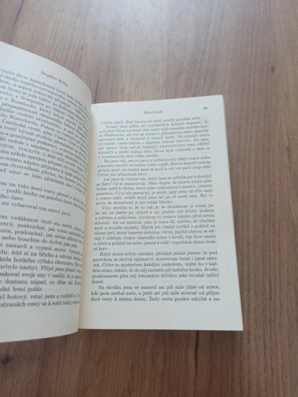 STEPHEN KING - Pytel kostí