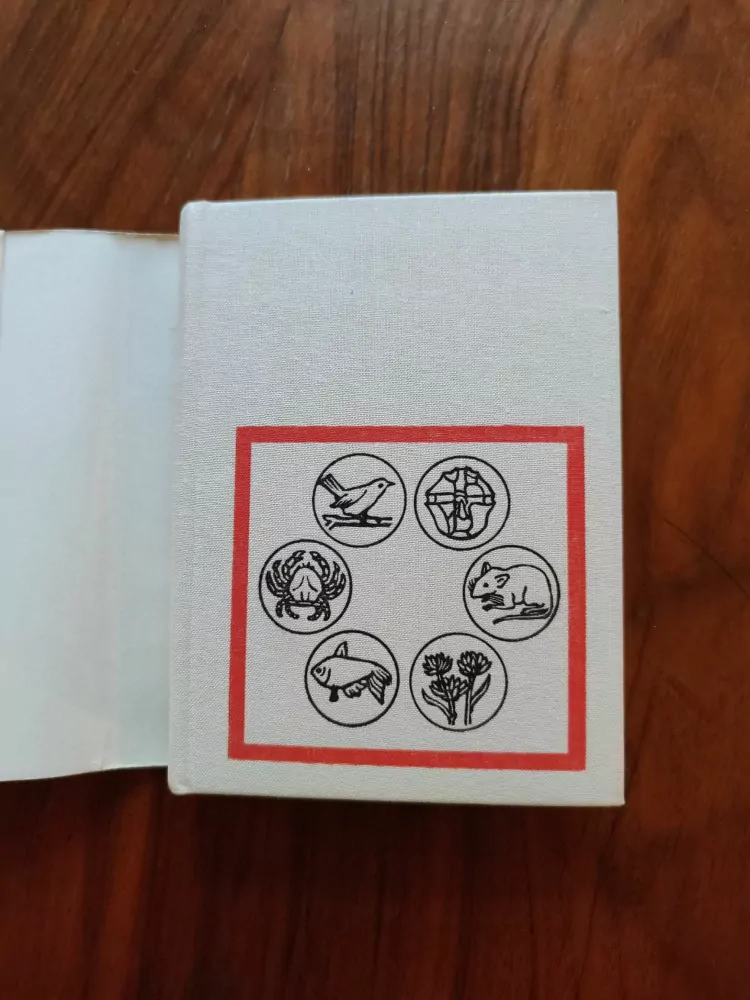 RITCHIE R. WARD - Živé hodiny