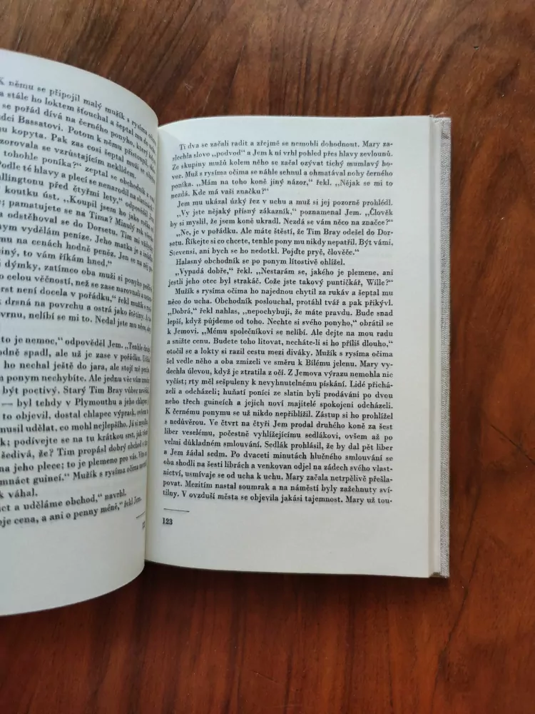 DAPHNE DU MAURIER - Hospoda Jamajka