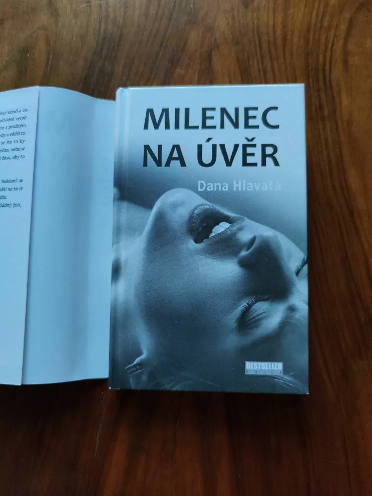 DANA HLAVATÁ - Milenec na úvěr