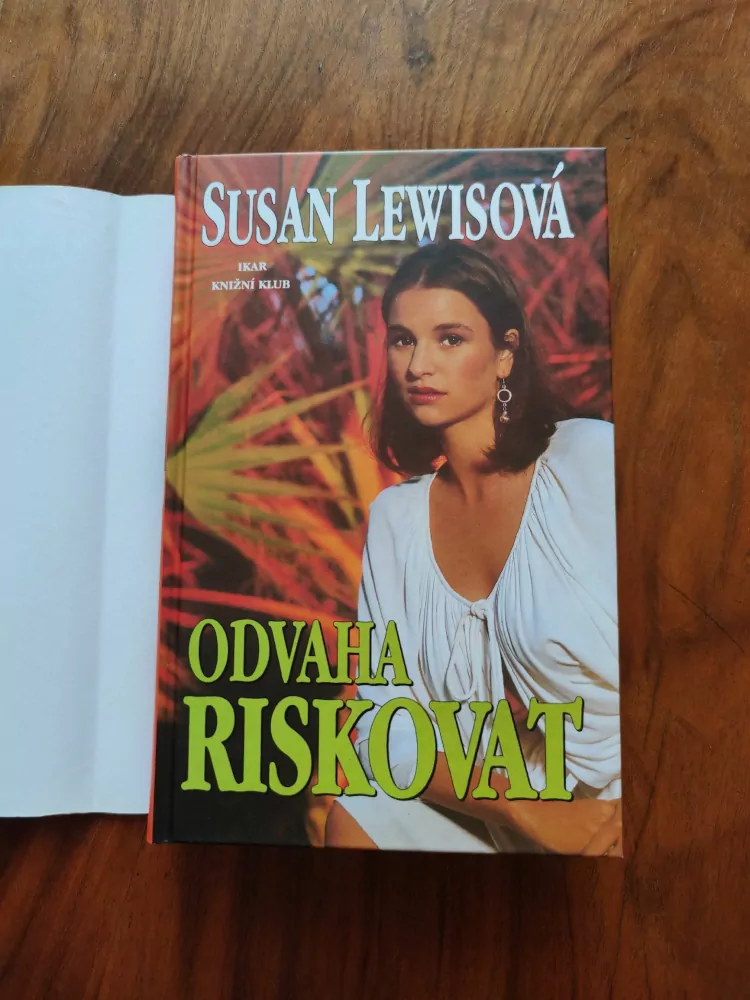 SUSAN LEWIS - Odvaha riskovat