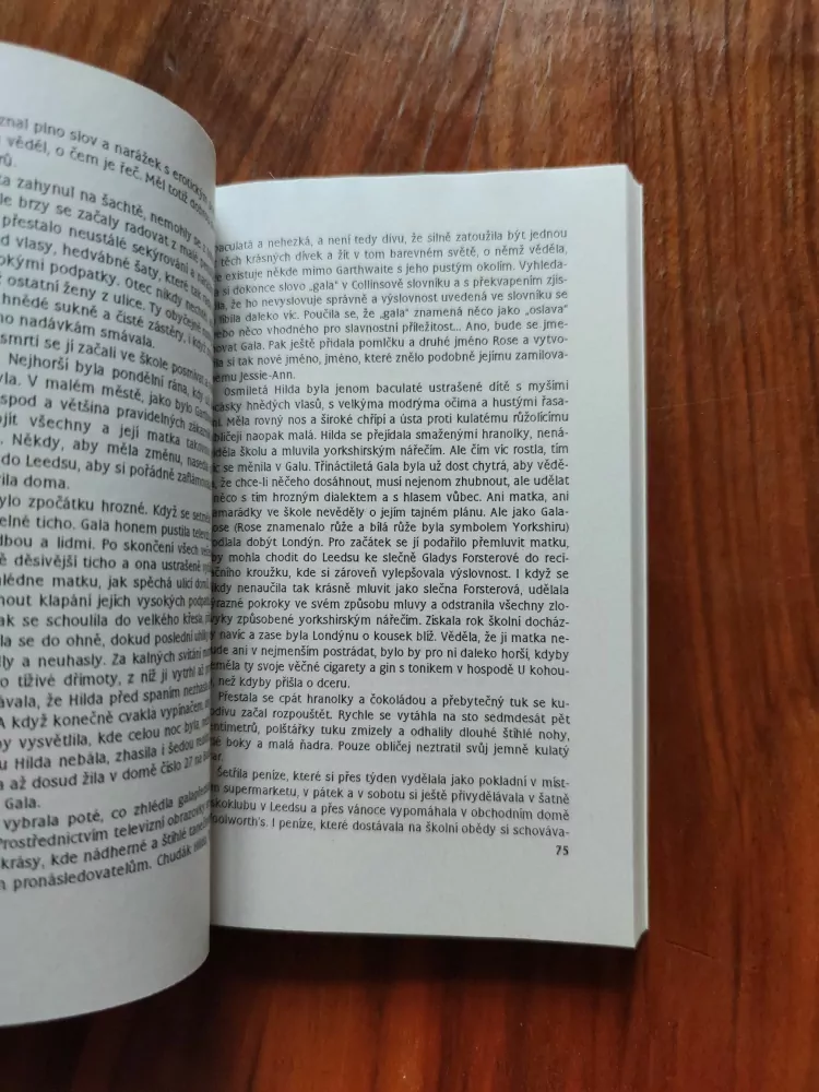 ELIZABETH ADLER - Prchavé představy