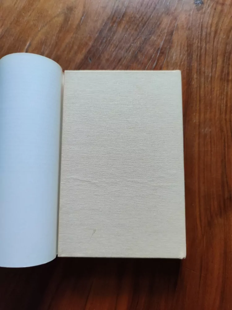 VÁCLAV DUŠEK - Skleněný Golem