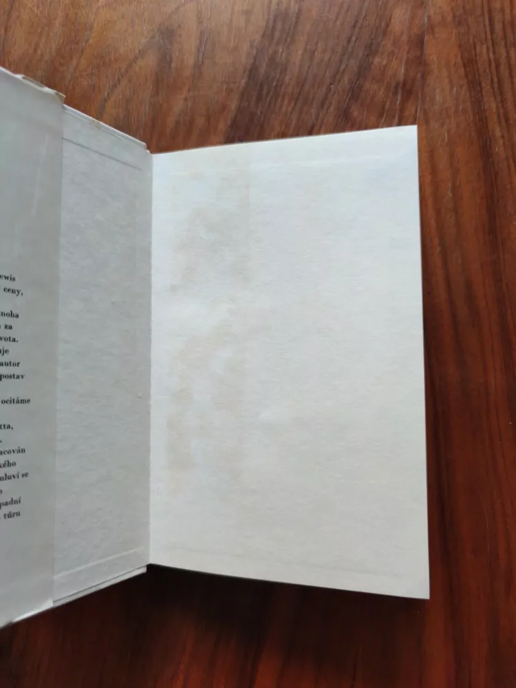 SINCLAIR LEWIS - Past na muže