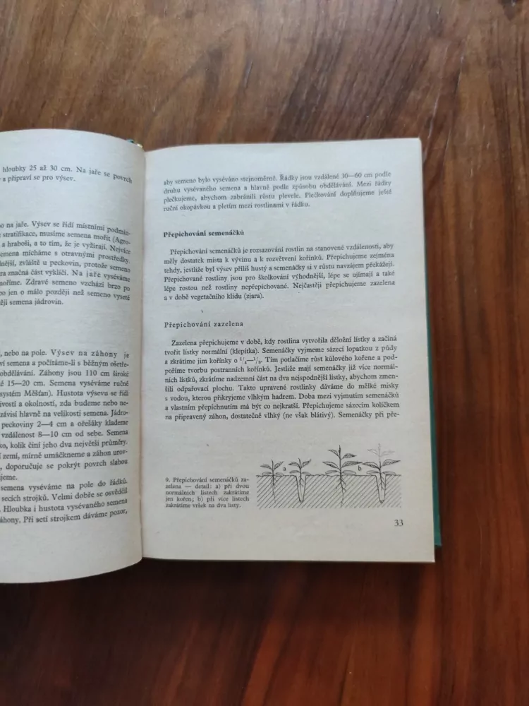 ANNA HORYNOVÁ a kolektiv - Praktické zahradnictví. Ovocnictví - zelinářství