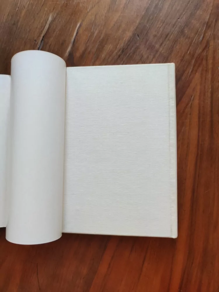 ROBERT MERLE - Za sklem