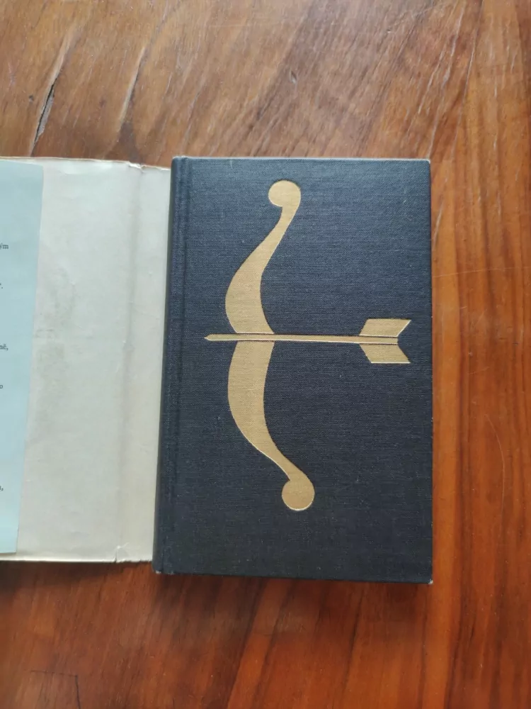 ALEXANDRE DUMAS - Robin Hood