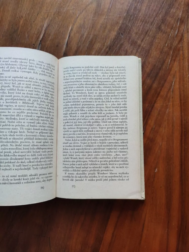 ARNOLD ZWEIG a kolektiv - Matka holubů