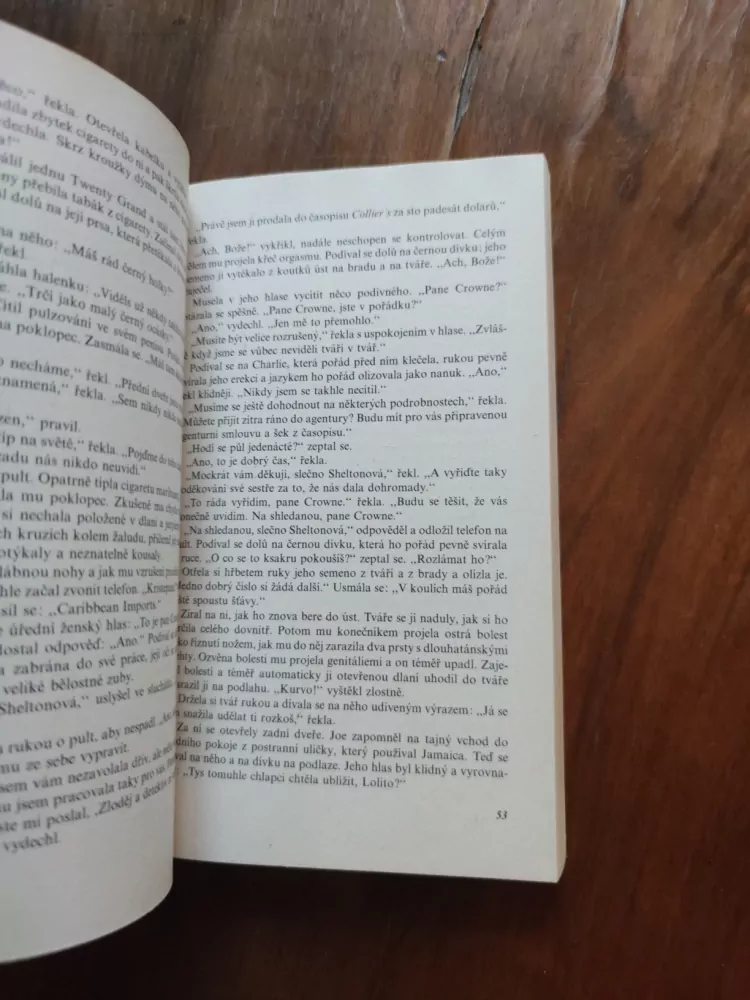 HAROLD ROBBINS - Povídkář