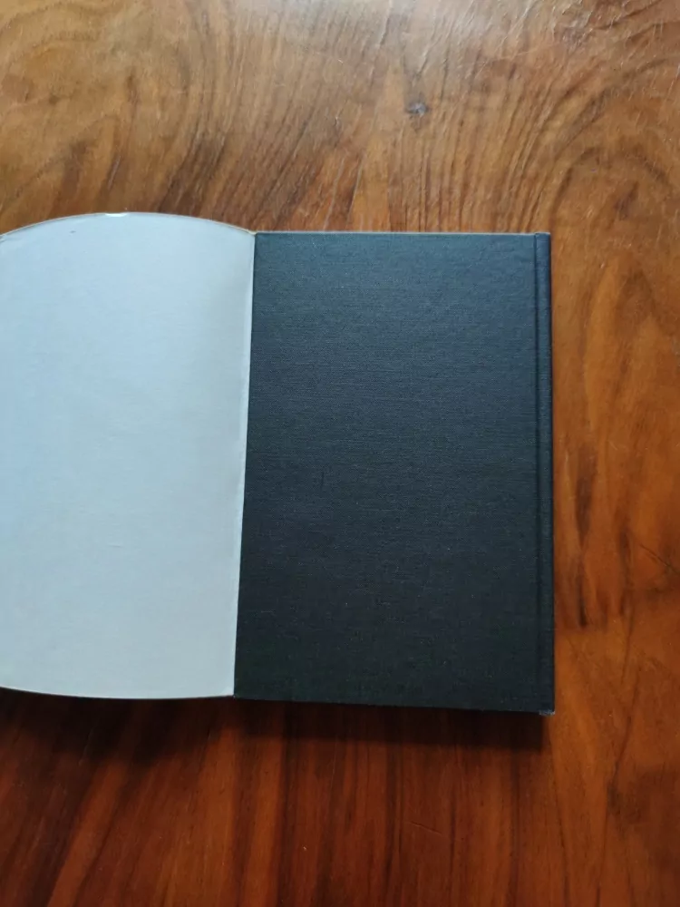 ALEXANDRA ANTOŠOVÁ - Kočka přes cestu