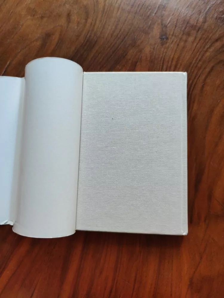 THEODOR STORM - Včelí jezero