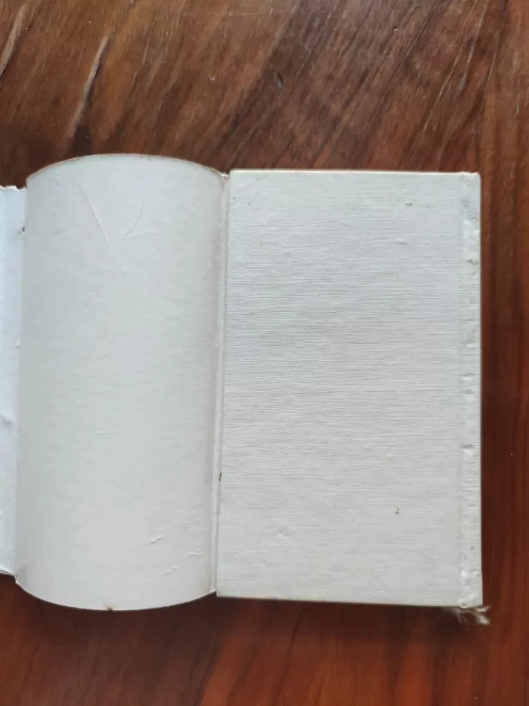 ADOLF BRANALD - Sentimentální průvodce po pražském nábřeží