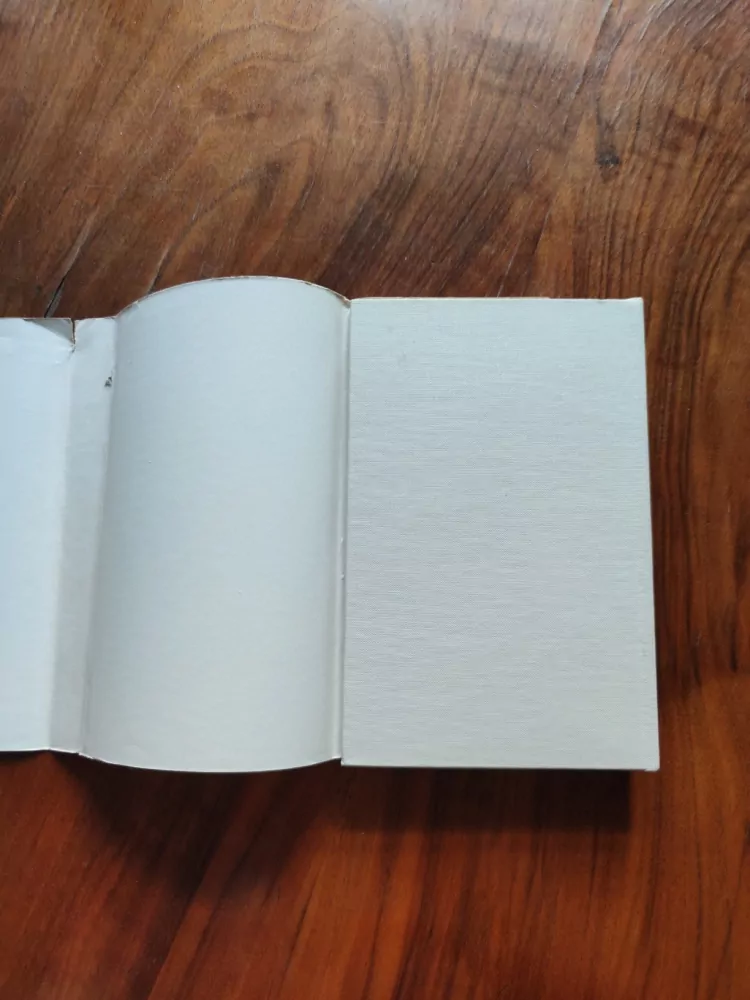 ROMAN RÁŽ - Prodavač humoru