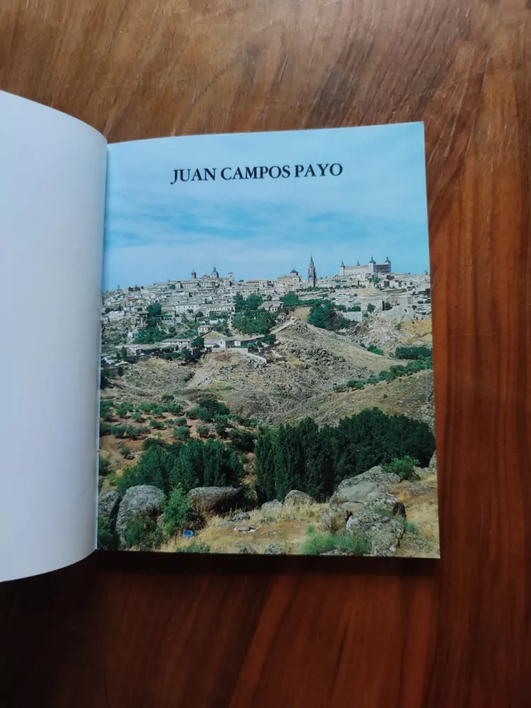 JUAN CAMPOS PAYO - This is Toledo