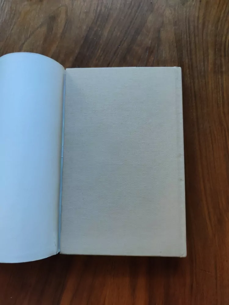 LUDMILA POLÁKOVÁ - Alice