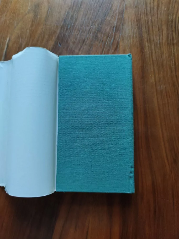 EMA ŘEZÁČOVÁ - Mráz