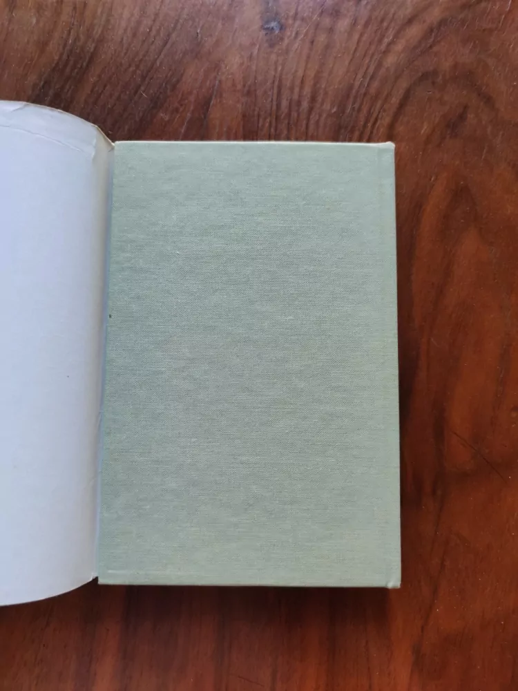 EARL DER BIGGERS - Vražda v Honolulu