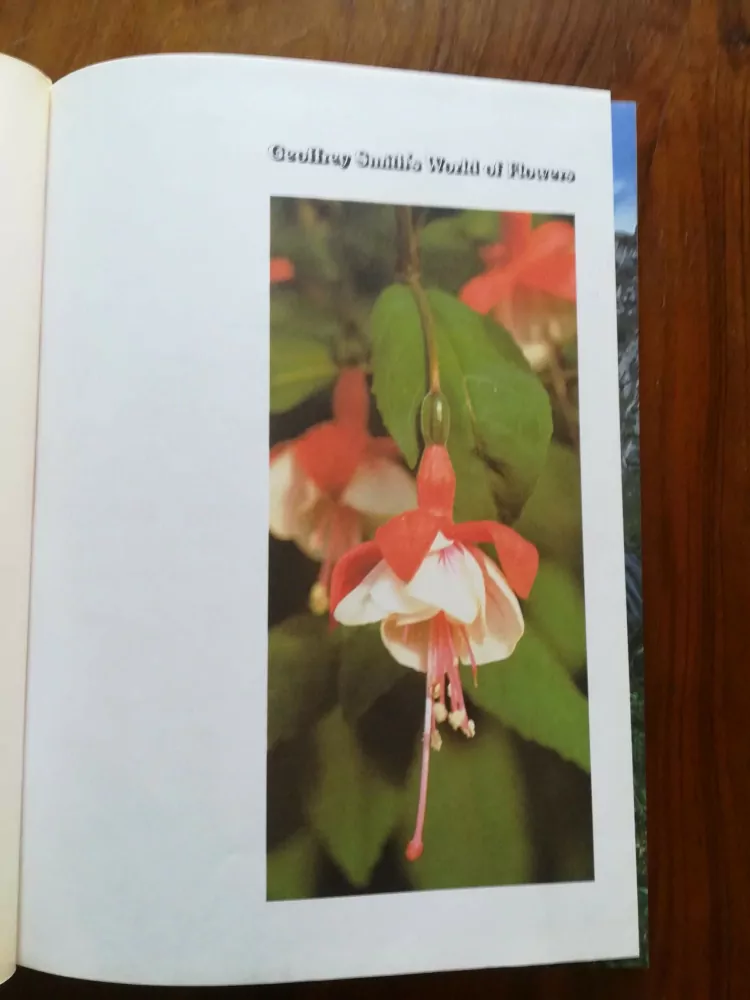 GEOFFREY SMITH'S World of flowers