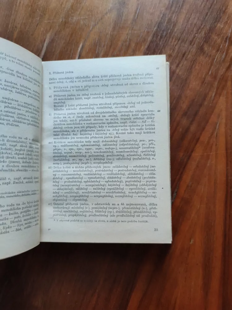 BOHUSLAV HAVRÁNEK, FRANTIŠEK TRÁVNÍČEK - Pravidla českého pravopisu