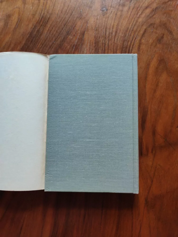 JOHN UPDIKE - Milenci a manželé