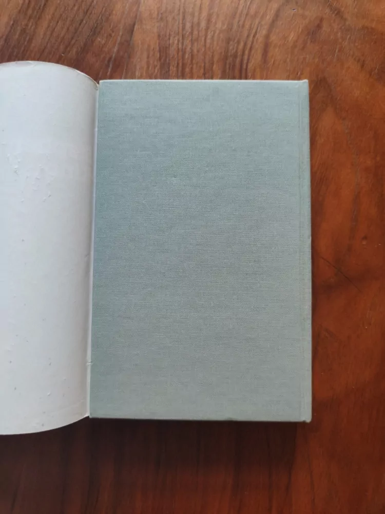 STEPHEN KING - Mrtvá zóna