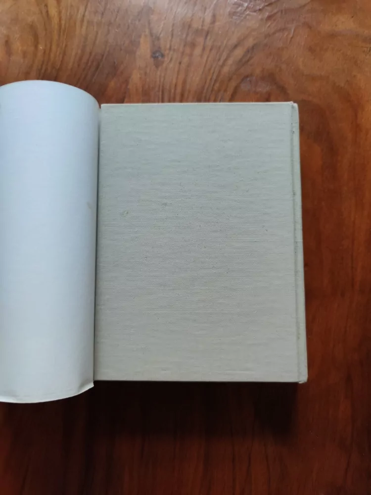 Německo-český slovník I