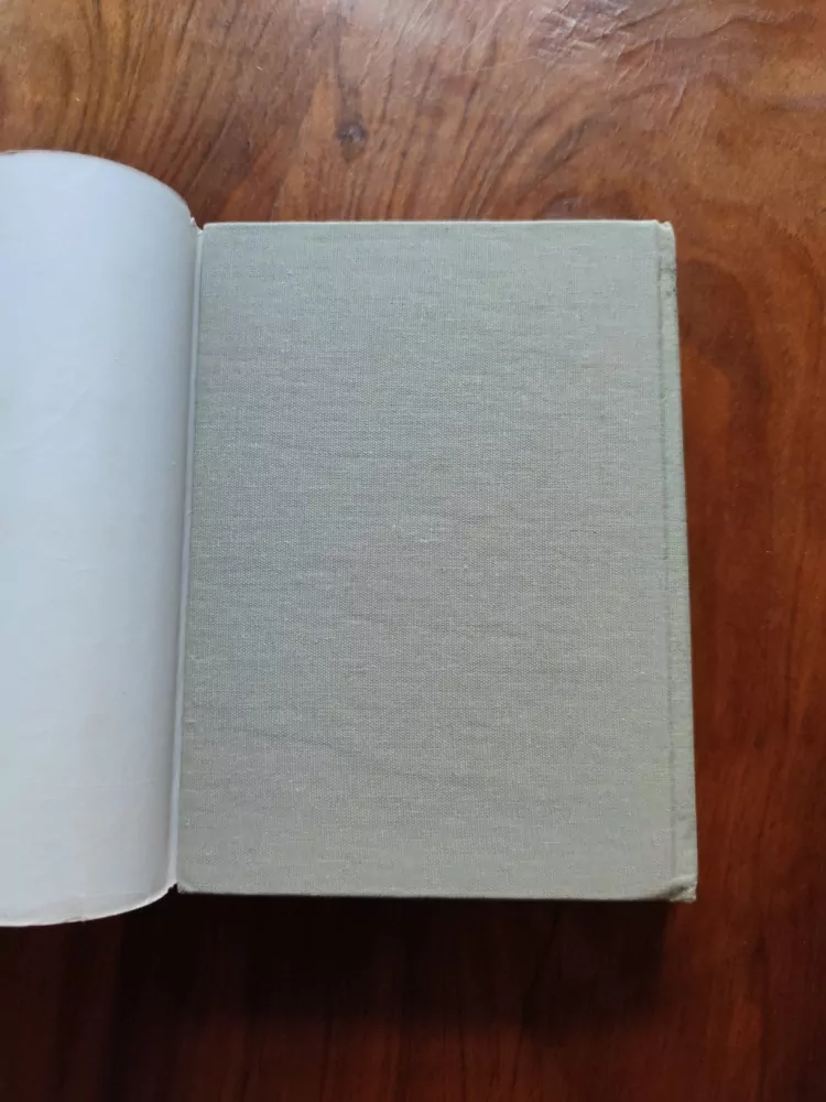 Německo-český slovník II