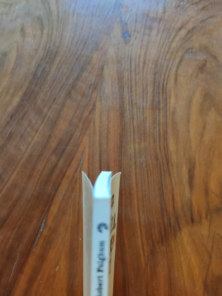 ROBERT FULGHUM - Už hořela, když jsem si do ní lehal