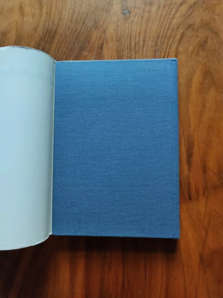 JANA ROVENSKÁ, DUŠAN ROVENSKÝ - Americké horizonty