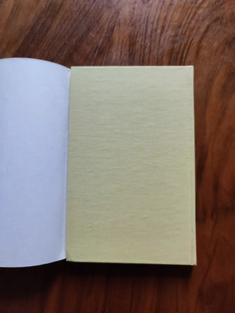 LEONARDO DA VINCI - Nápady