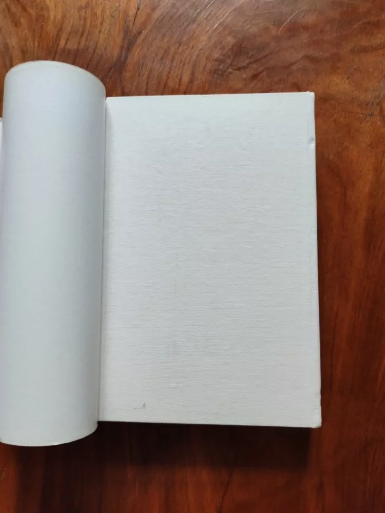 PIERRE PETITFILS - Verlaine