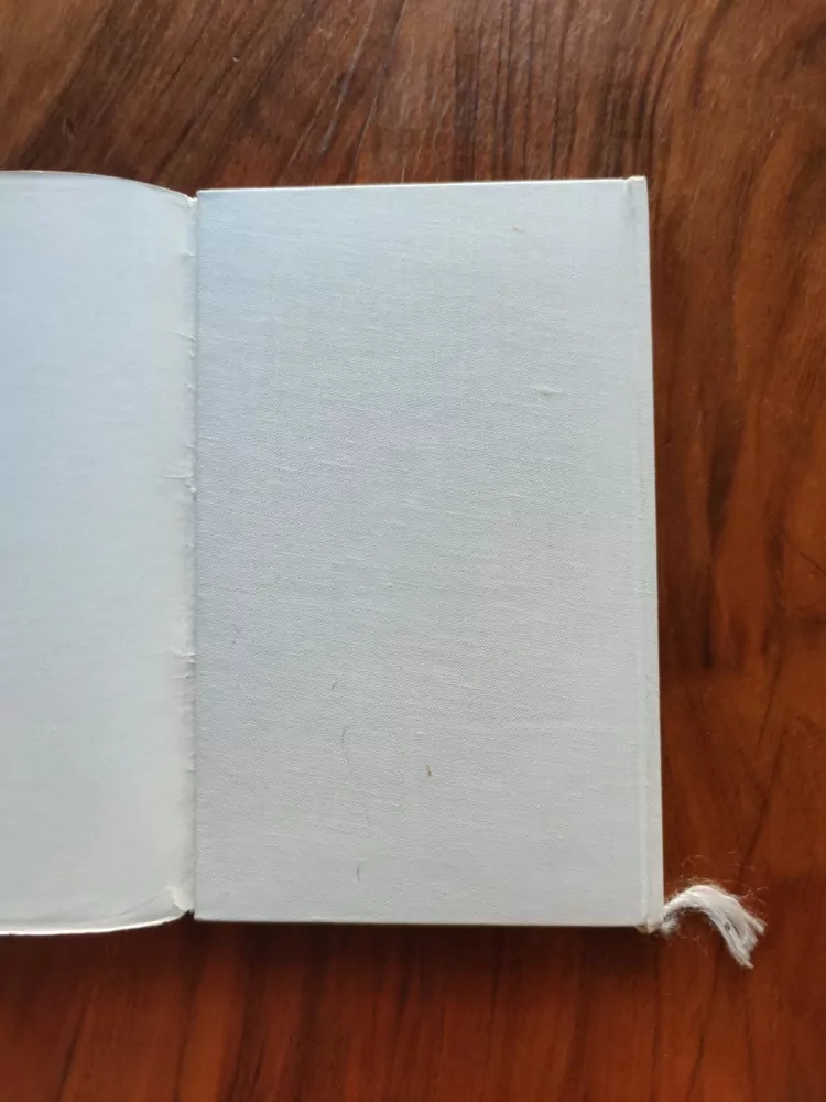 ERIC LINKLATER - Rozprava nad mračny